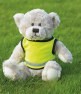 Teddy Bear with Jacket